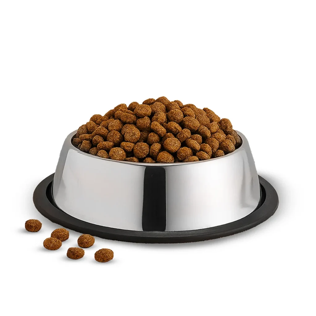 Stainless Steel Pet Bowl with Non-Slip Base